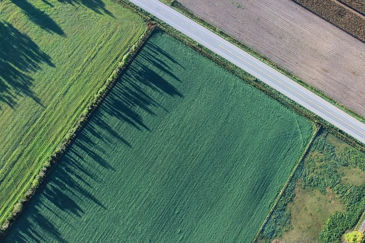 Terreno agricolo inutilizzato? Ecco la nuova strategia per trasformarlo in rendita Terreno agricolo inutilizzato? Ecco la nuova strategia per trasformarlo in rendita