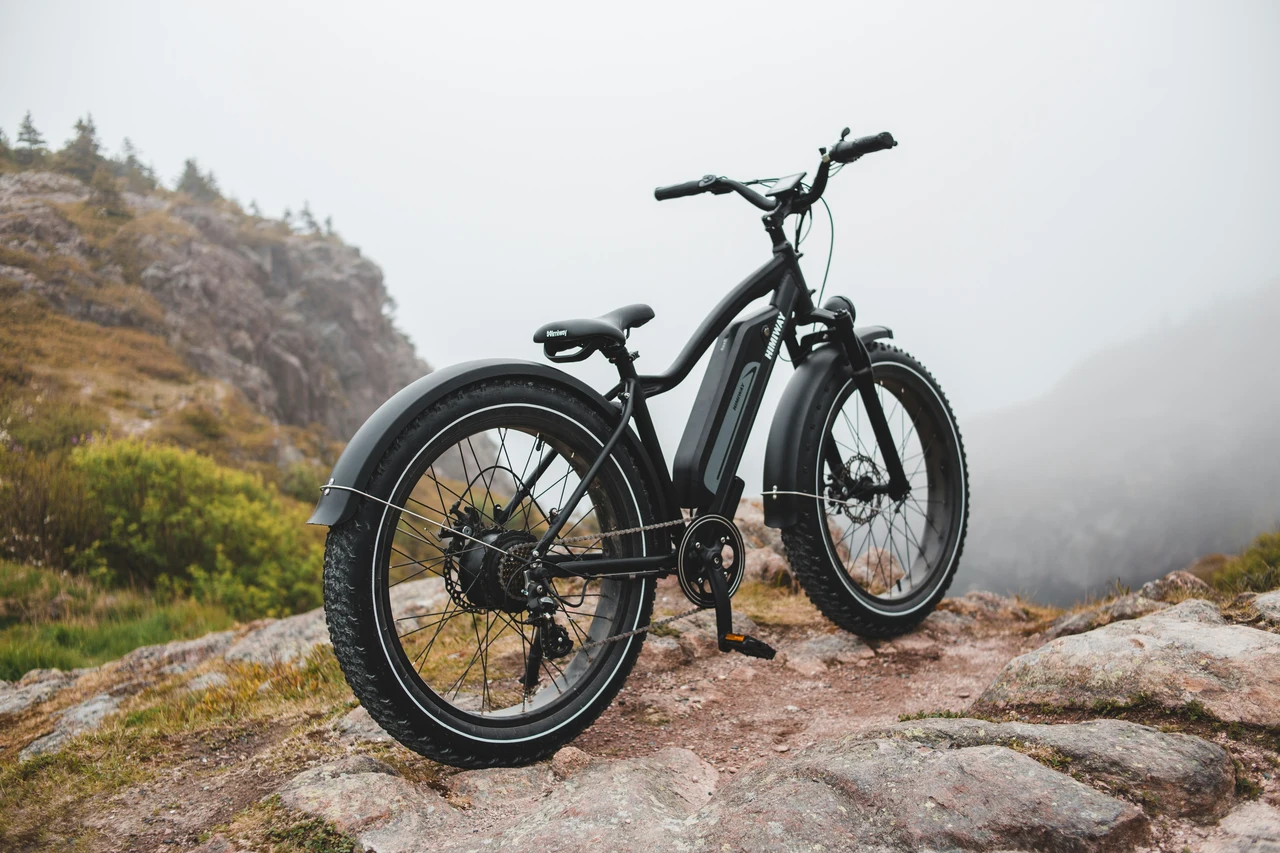 Bonus bici elettrica 2025: ecco cosa serve e come funziona Bonus bici elettrica 2025: ecco cosa serve e come funziona