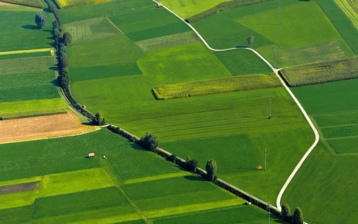 Terreno agricolo inutilizzato? Nuova strategia per trasformarlo in una rendita stabile Terreno agricolo inutilizzato? Nuova strategia per trasformarlo in una rendita stabile
