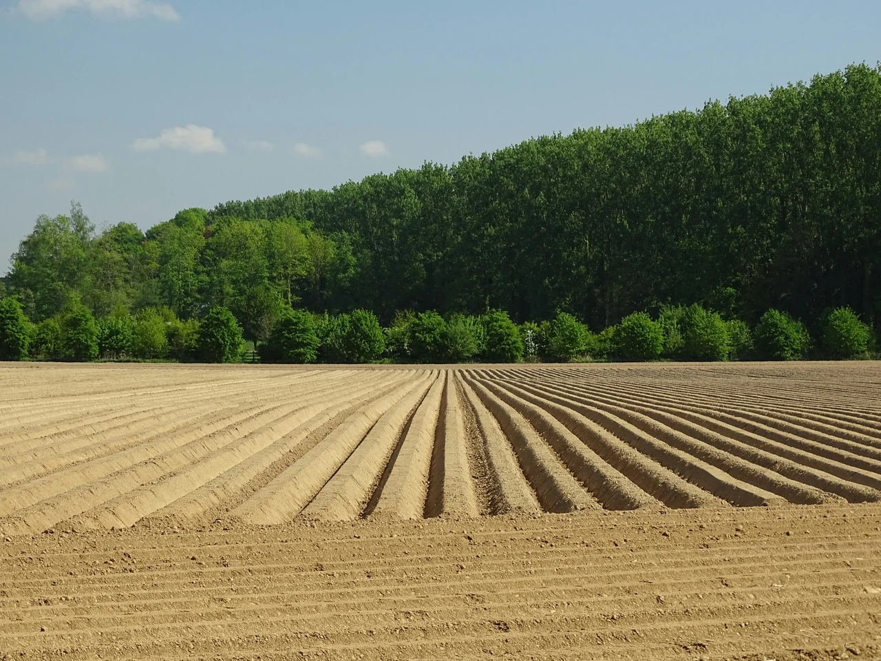 Terreno agricolo inutilizzato? Scopri il valore aggiornato e come trasformarlo in rendita secondo gli agenti immobiliari Terreno agricolo inutilizzato? Scopri il valore aggiornato e come trasformarlo in rendita secondo gli agenti immobiliari