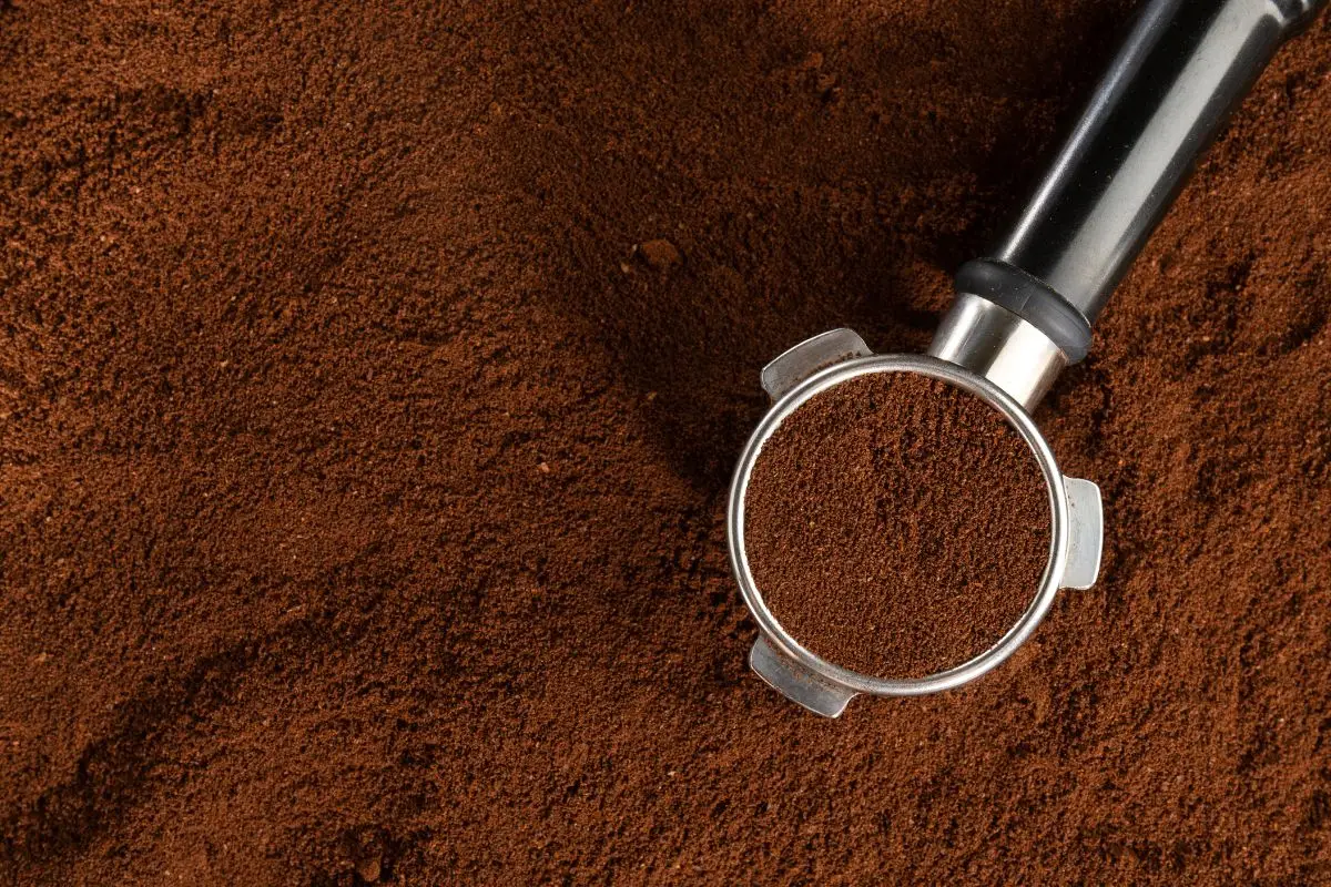 Caffè e compost fai da te: quali piante traggono più beneficio dal riutilizzo Caffè e compost fai da te: quali piante traggono più beneficio dal riutilizzo
