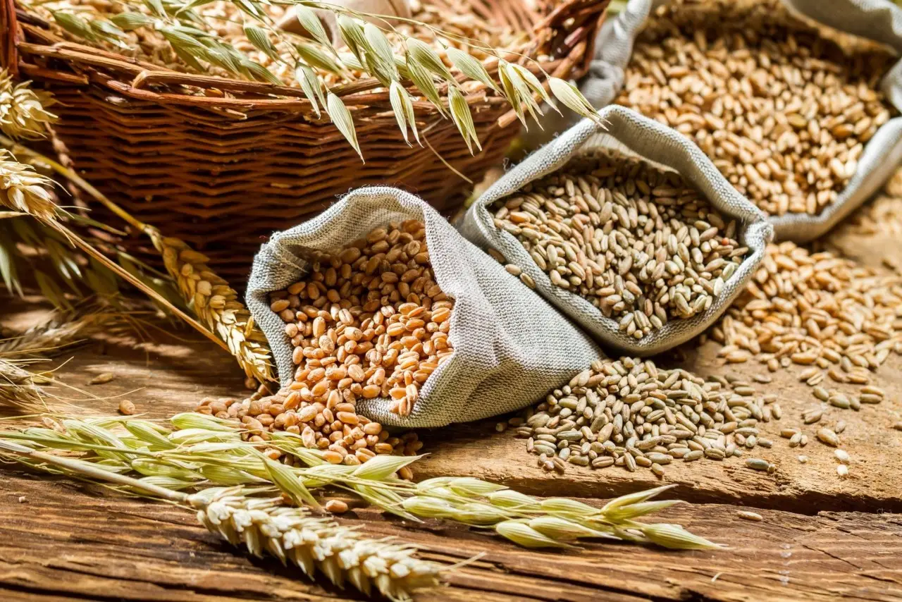 Come limitare i picchi glicemici scegliendo pane e cereali integrali in primavera Come limitare i picchi glicemici scegliendo pane e cereali integrali in primavera