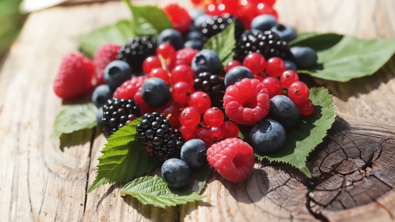 Antistaminici naturali: quali sono i più potenti e come possono aiutare il benessere quotidiano?