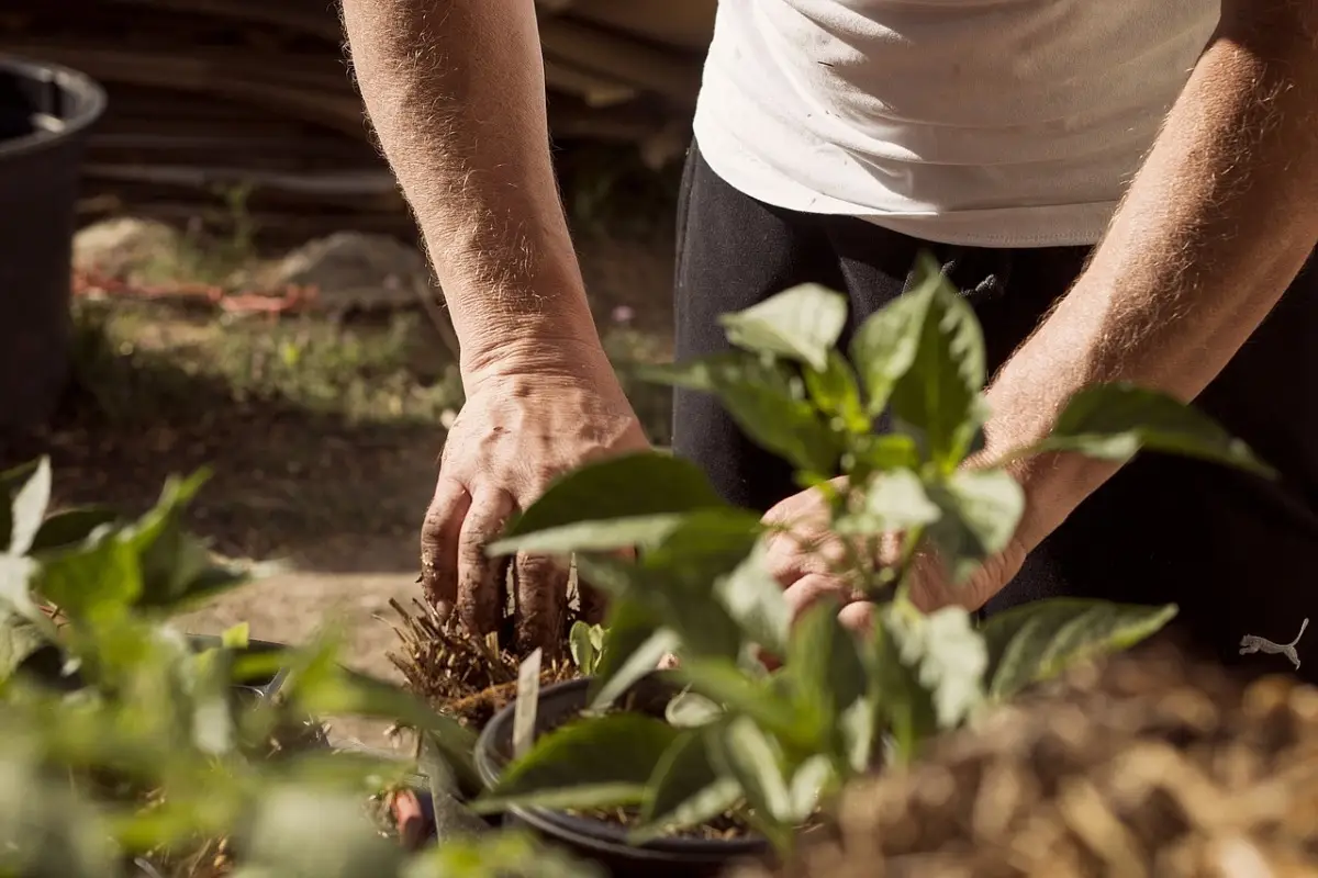 Il momento migliore per prendersi cura del giardino: guida alle stagioni e ai lavori da fare