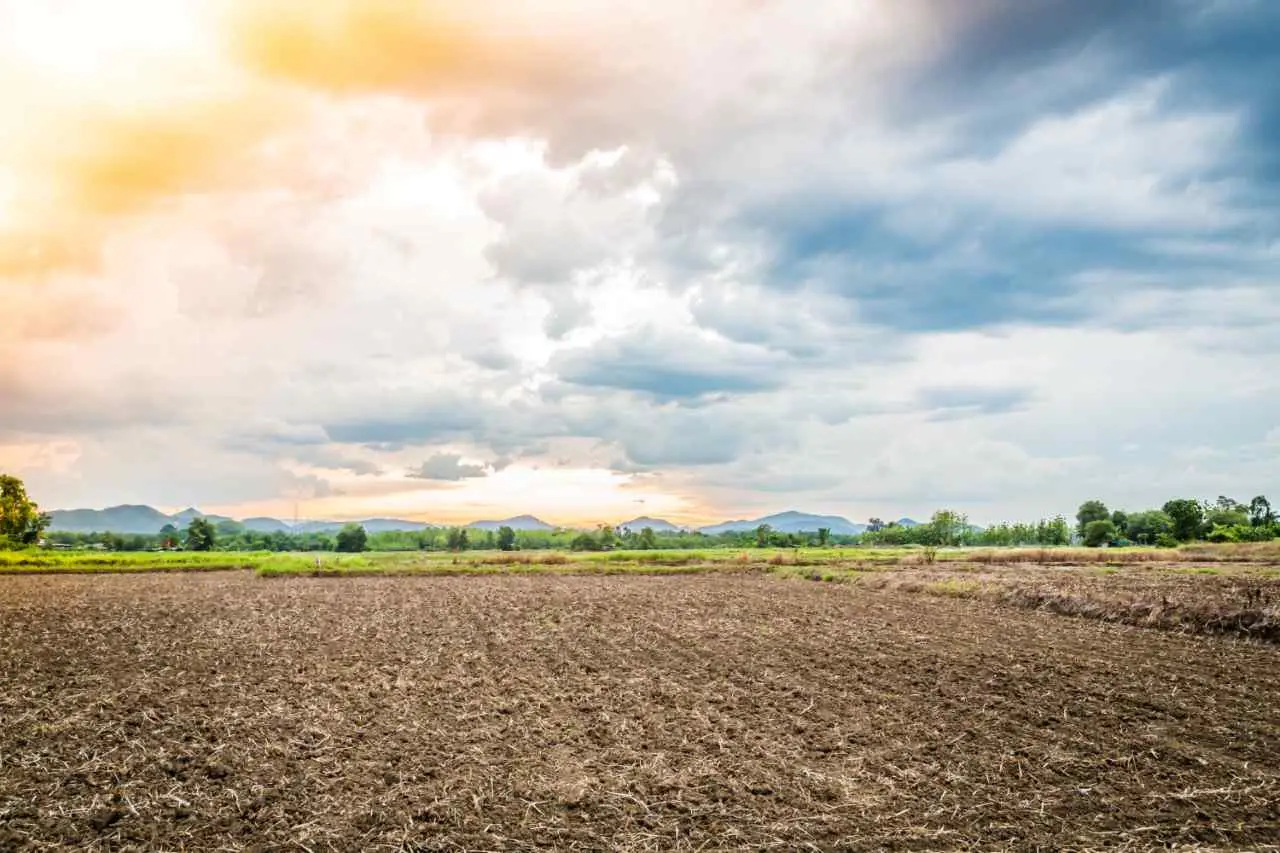Terreno agricolo inutilizzato? Scopri il valore aggiornato e come trasformarlo in rendita secondo gli agenti immobiliari Terreno agricolo inutilizzato? Scopri il valore aggiornato e come trasformarlo in rendita secondo gli agenti immobiliari