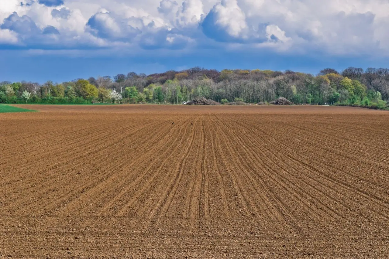 Terreno agricolo inutilizzato? Scopri il valore aggiornato e come trasformarlo in rendita secondo gli agenti immobiliari Terreno agricolo inutilizzato? Scopri il valore aggiornato e come trasformarlo in rendita secondo gli agenti immobiliari
