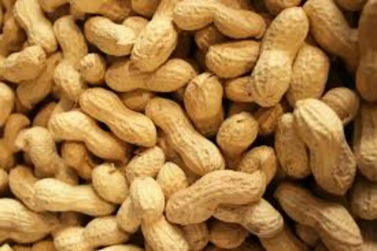 Inflazione alimentare: 5 cibi che stanno quasi raddoppiando Inflazione alimentare: 5 cibi che stanno quasi raddoppiando