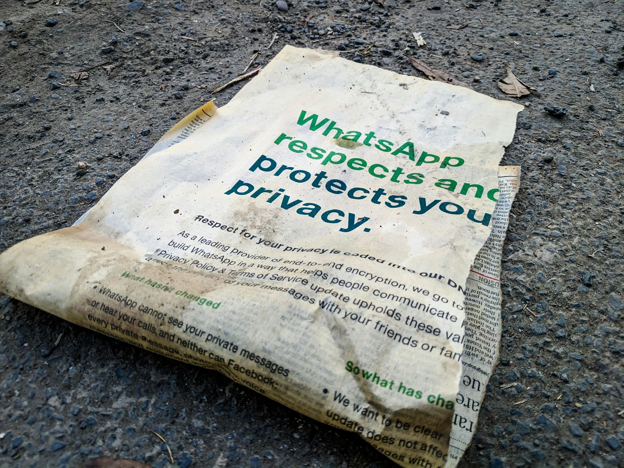 Proteggi la tua privacy su WhatsApp: disattiva le ricevute di lettura in pochi passi Proteggi la tua privacy su WhatsApp: disattiva le ricevute di lettura in pochi passi