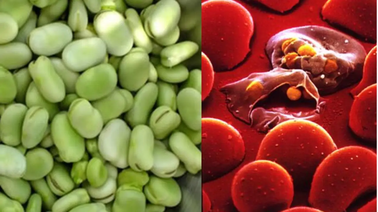 Scopri il legume estivo che insospettabilmente peggiora il dolore articolare Scopri il legume estivo che insospettabilmente peggiora il dolore articolare