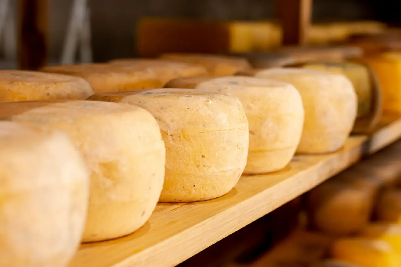 I formaggi stagionati aumentano l’infiammazione articolare? Ecco cosa sapere I formaggi stagionati aumentano l’infiammazione articolare? Ecco cosa sapere