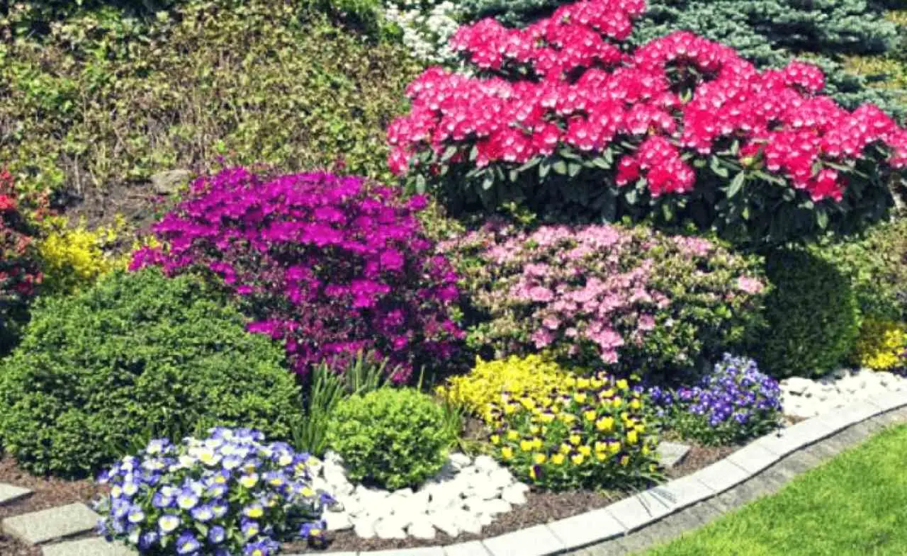 Piante ornamentali perenni che facilitano la presenza di roditori: cosa scegliere Piante ornamentali perenni che facilitano la presenza di roditori: cosa scegliere