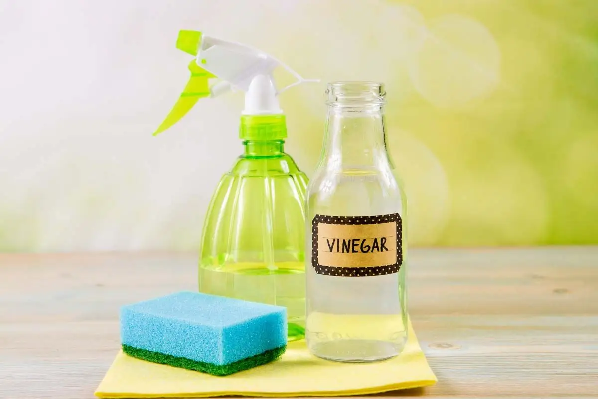 Preparare un pesticida fai-da-te efficace con ingredienti reperibili in cucina Preparare un pesticida fai-da-te efficace con ingredienti reperibili in cucina