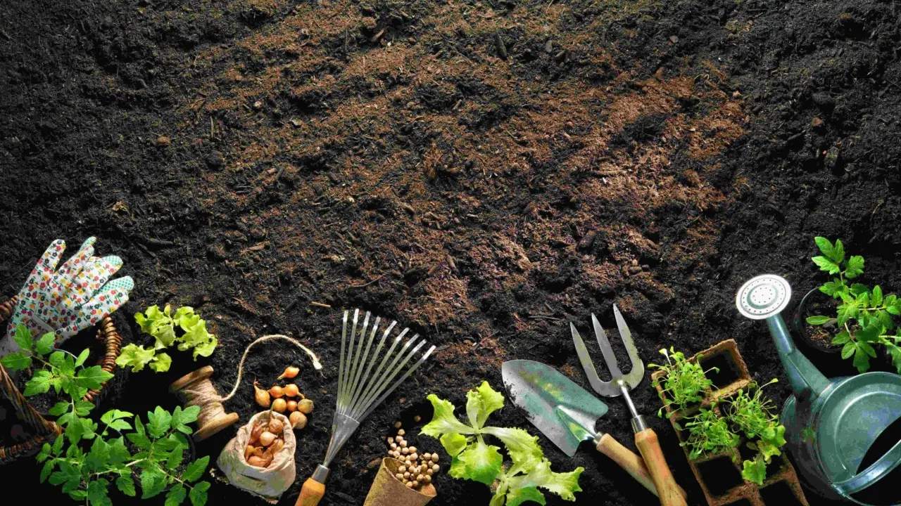 Fertilizzanti naturali per ortaggi estivi: soluzioni rapide e low cost per l'orto Fertilizzanti naturali per ortaggi estivi: soluzioni rapide e low cost per l'orto