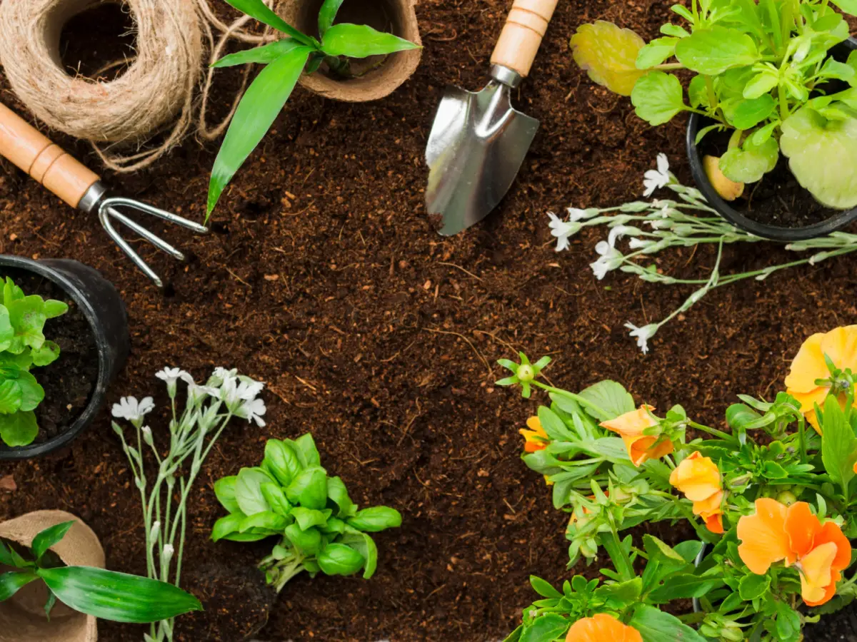 Fertilizzanti naturali per ortaggi estivi: soluzioni rapide e low cost per l'orto Fertilizzanti naturali per ortaggi estivi: soluzioni rapide e low cost per l'orto