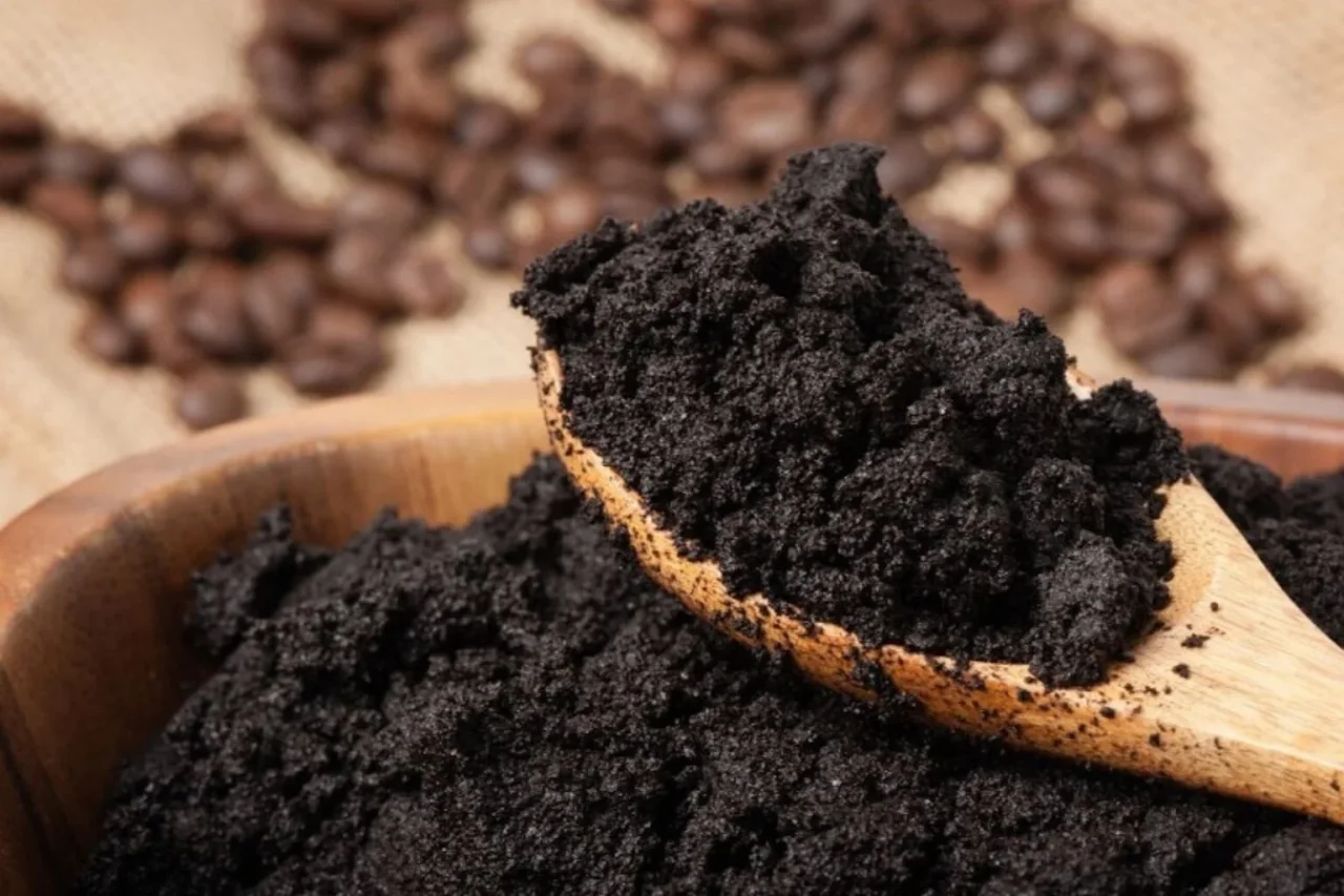 Raccolta di fondi di caffè: semplici modi per rinforzare il terreno dell’orto domestico Raccolta di fondi di caffè: semplici modi per rinforzare il terreno dell’orto domestico